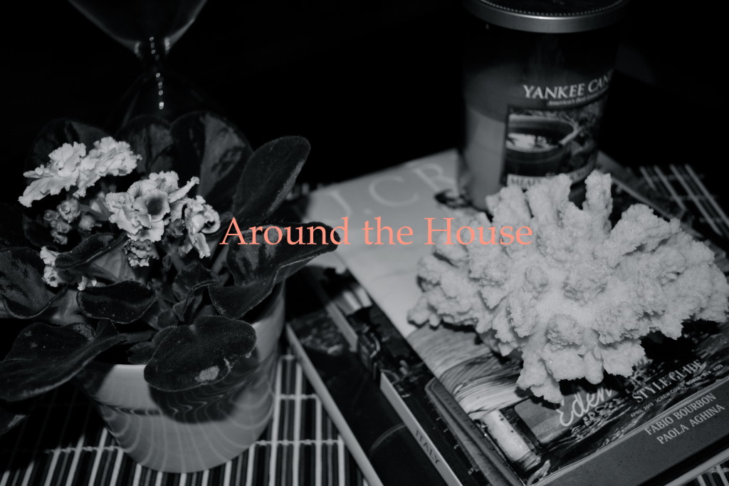 Around the House 03.29.13