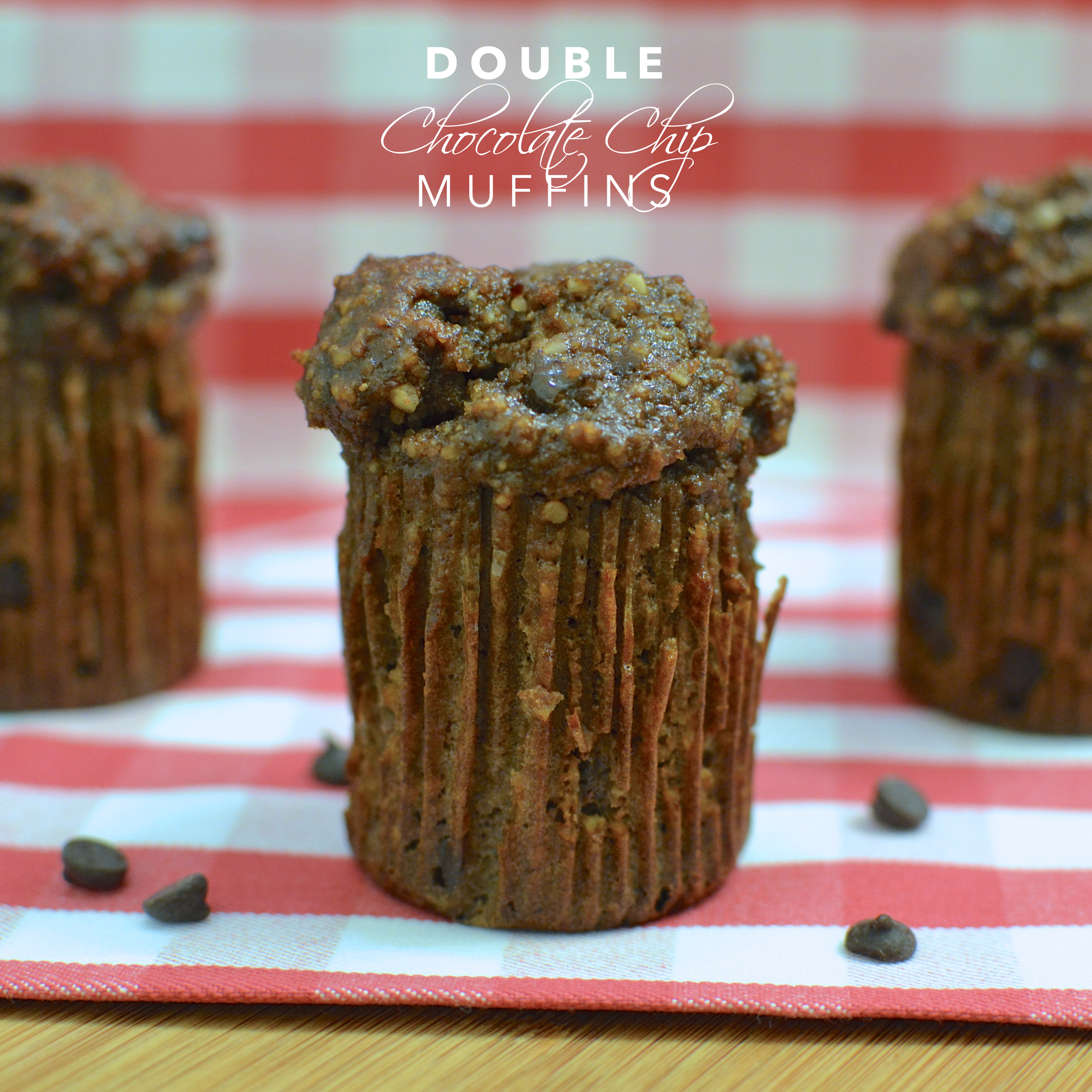 Paleo Double Chocolate Chip Muffins