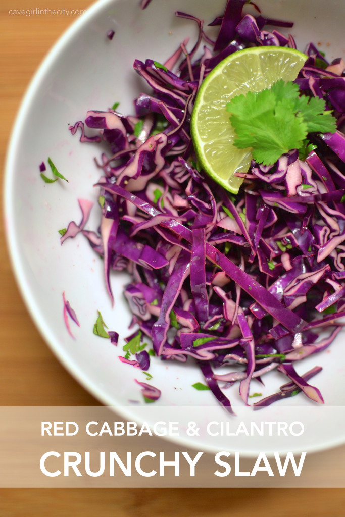 Red Cabbage Slaw2